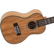 Koncerta ukulele Flight DUC-450-MAN